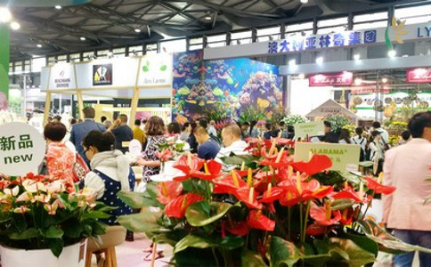 国际涂料工业展现场照片